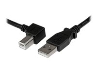 StarTech.com Câble USB 2.0 Type A vers USB Type B Coudé à Gauche Mâle / Mâle - Adaptateur pour imprimante 2 m Noir - Câble USB - USB type B (M) pour USB (M) - USB 2.0 - 2 m - connecteur à angle gauche - noir USBAB2ML